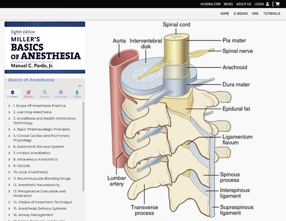 millers-basics-of-anesthesia-eight-edition | PocketEDU